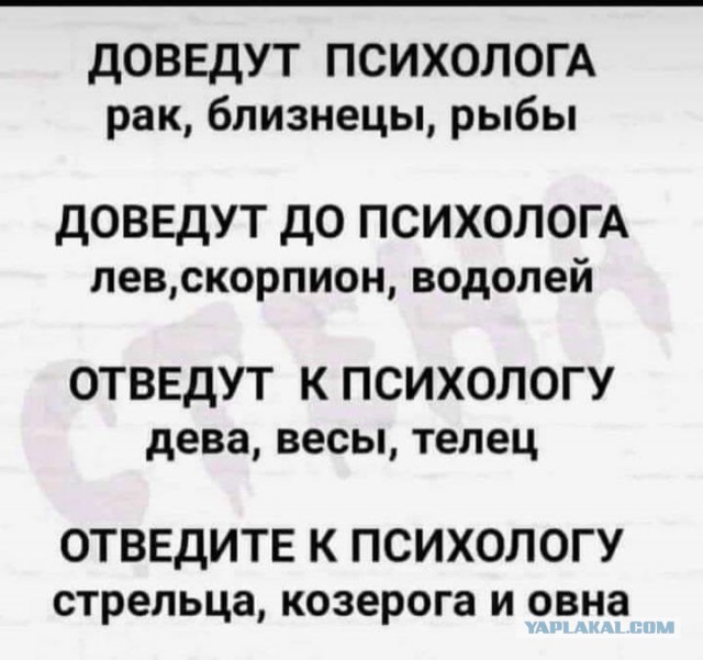 Так себе картинки 15.11.25