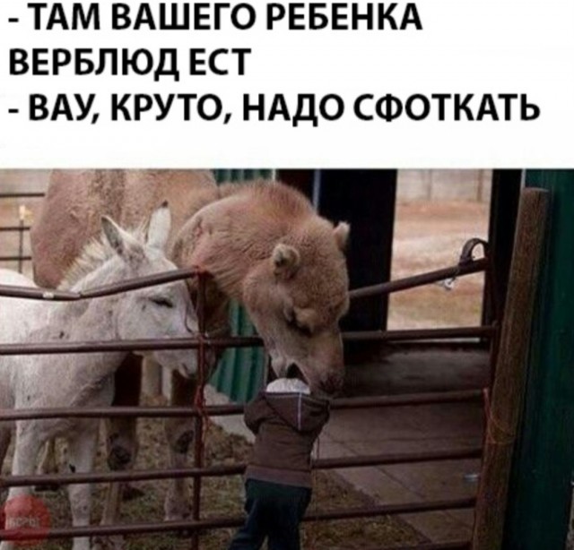 Веселые картинки в маленькую пятницу (19.11)
