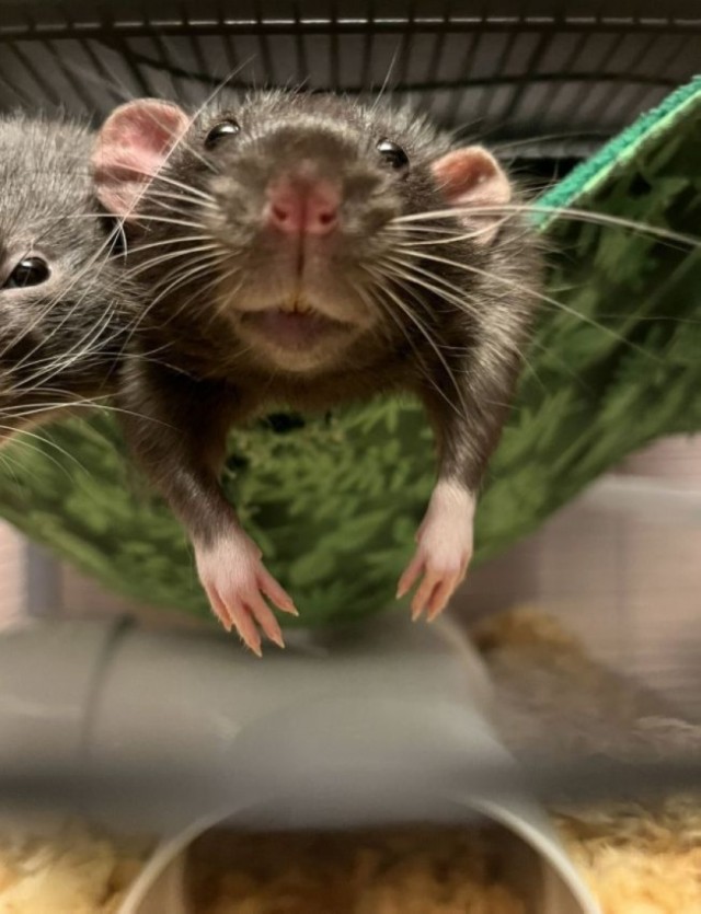 Картинки на пятницу 20.02.26