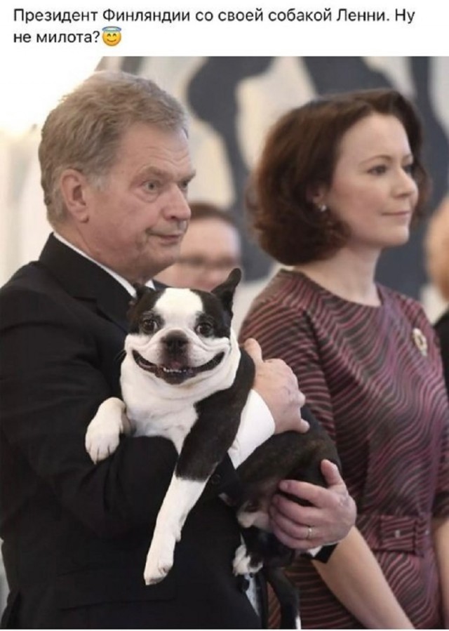 Так себе картинки 06.03.26