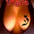 История Тигры