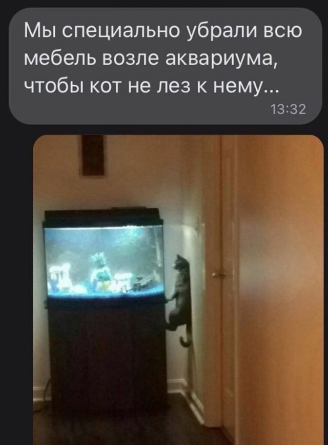 Картинки для деградации 169 (разной степени свежести)