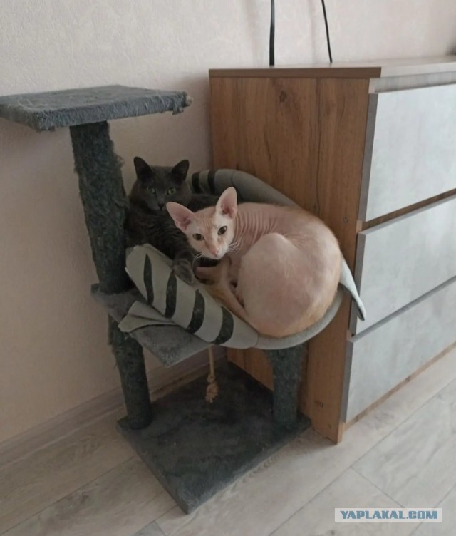 Это называется безмятежность