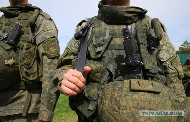 Госдума разрешила привлекать армию для защиты арестованных за рубежом россиян