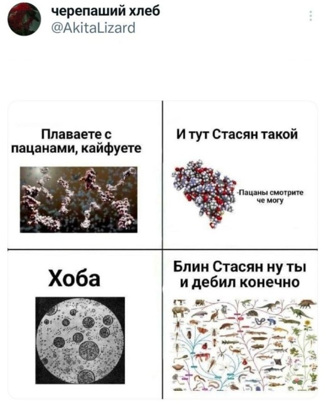 Картинки для деградации 203  (разной степени свежести)