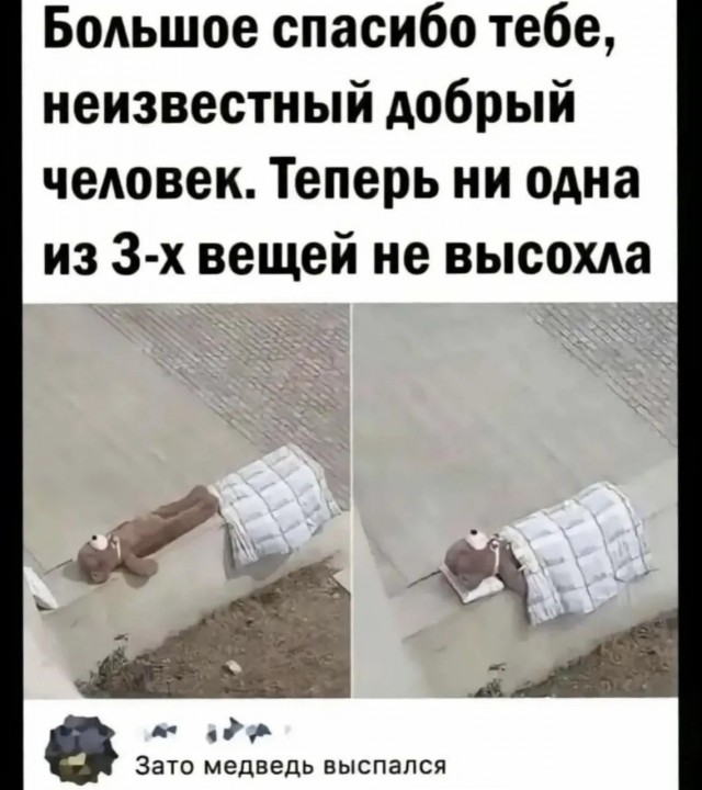 Картиночки, баянчики 15 июня