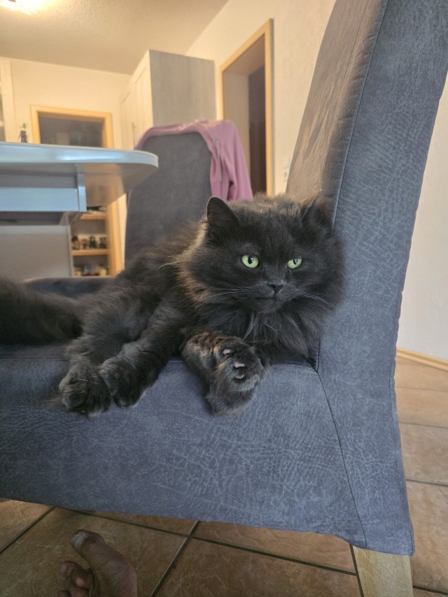 Кофе от Василия