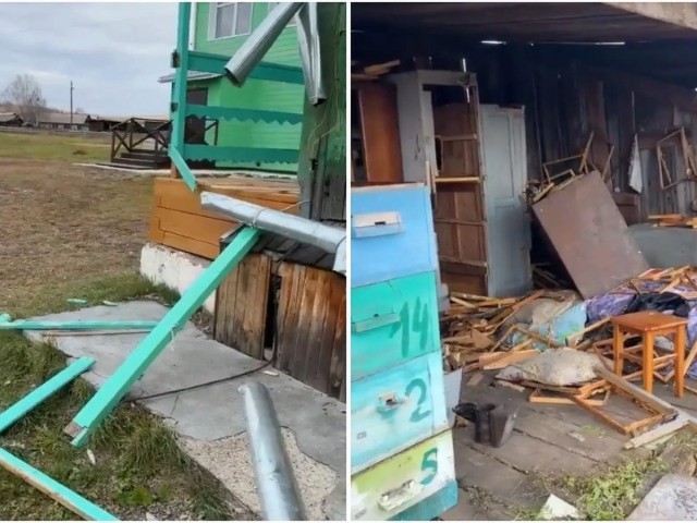 В Приангарье медведь пытался пробраться в школьную столовую по трубе