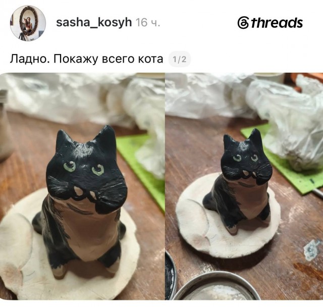 В интернете спорят из-за кота с «огромной круглой головой», который в итоге собрал армию фанатов