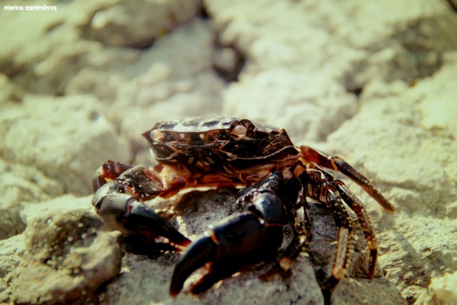 Крым: Судак и окрестности