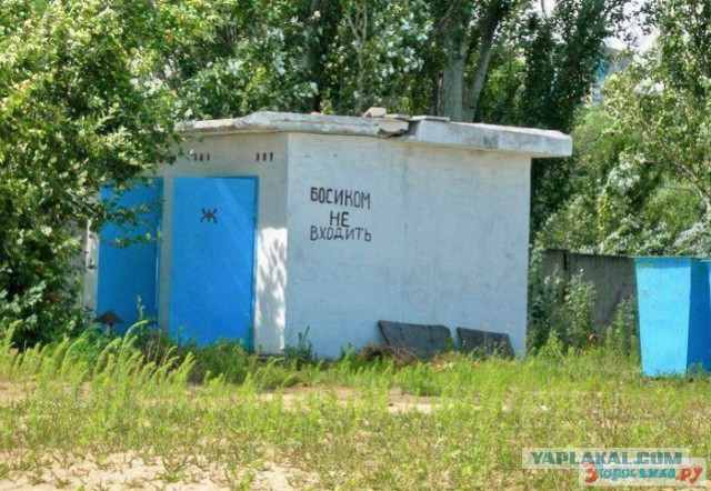 Маразмы года 2013