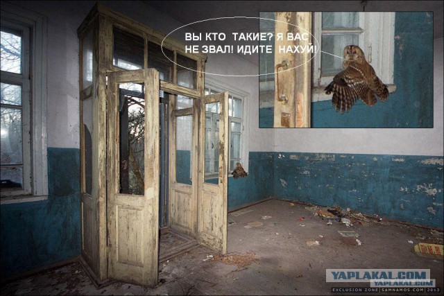 Нелегальный поход в чернобыльскую зону отчуждения.