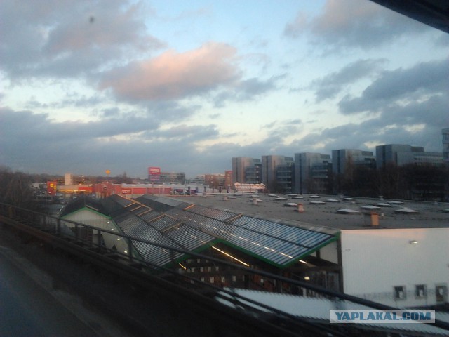 Где яблоки растут!