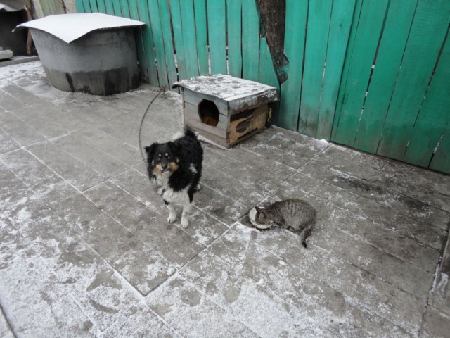 Капля позитива
