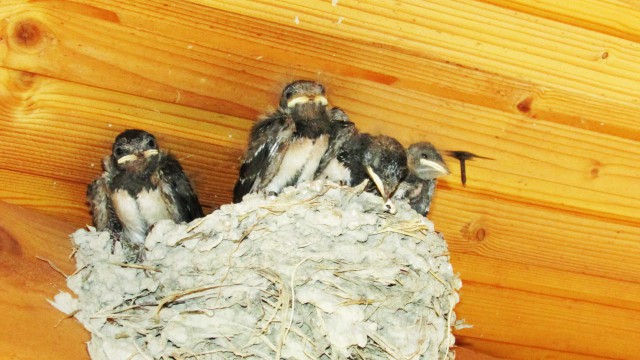 К вылету почти готовы