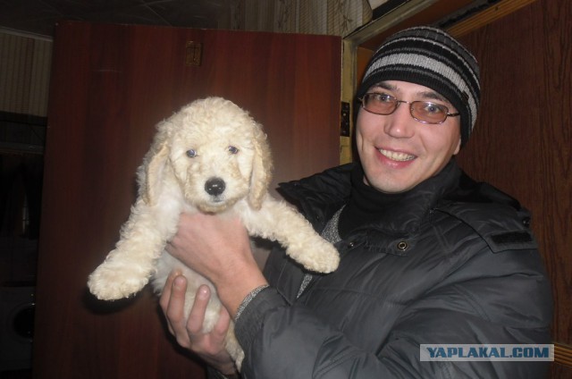Собакочетверг 2.10.2014