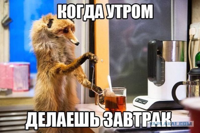 Картинки с инета.