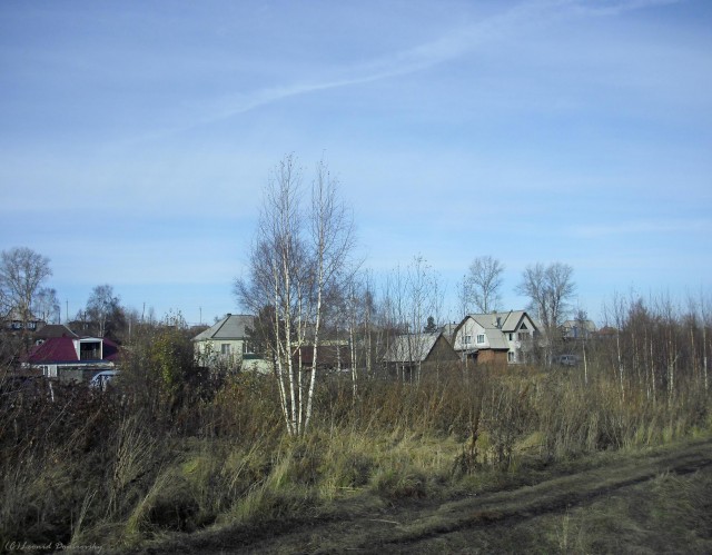 В черном городе