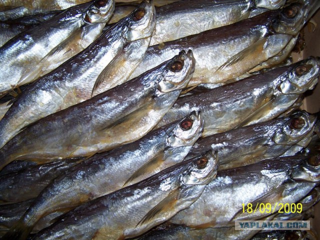 Какие продукты уникальны для Вашего региона?