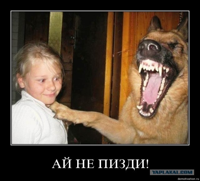 Это не покажут по ТВ