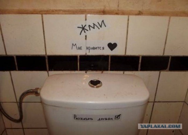 Картинок из сети немножко