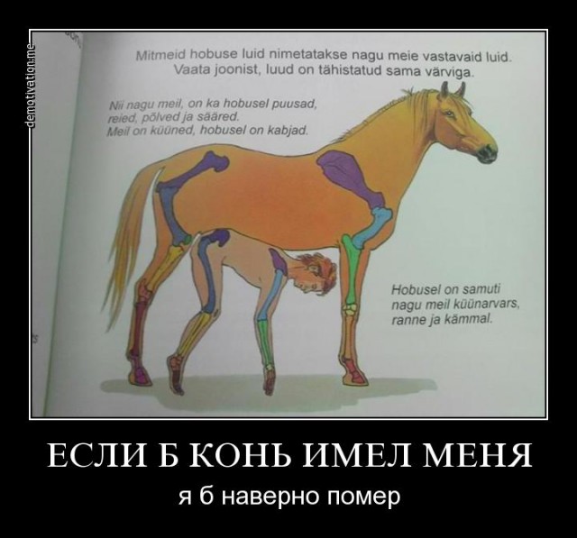 Американским солдатам разрешили зоофилию.