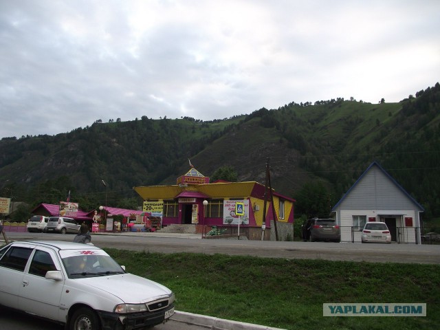 Дорога в 5500 км автостопом на Алтай.