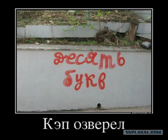 Демотиваторы