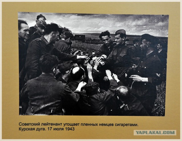 Кино и немцы