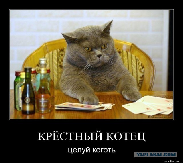 Картинки на утро вторника