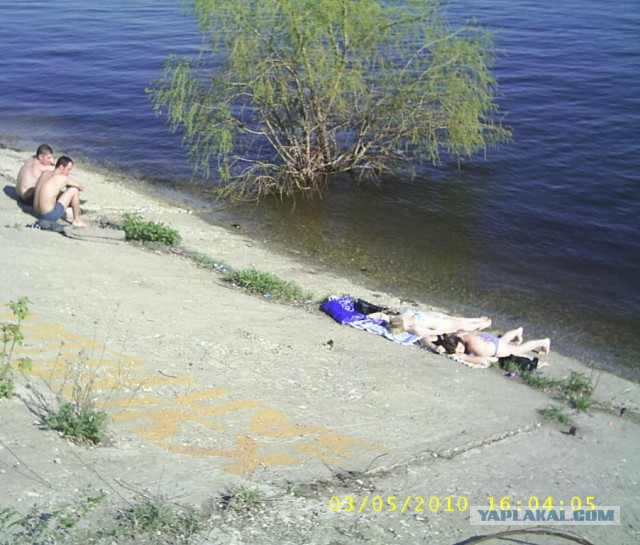 Таким я вижу мир