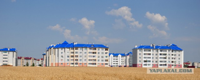 Подборка картинок