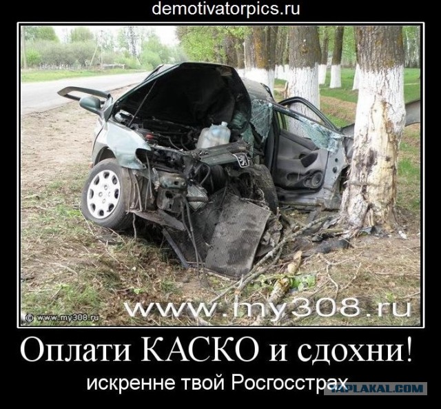 Россияне нашли кардинальный способ экономить на полисах ОСАГО