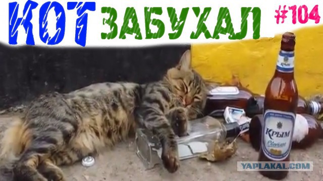 Юмор не для всех