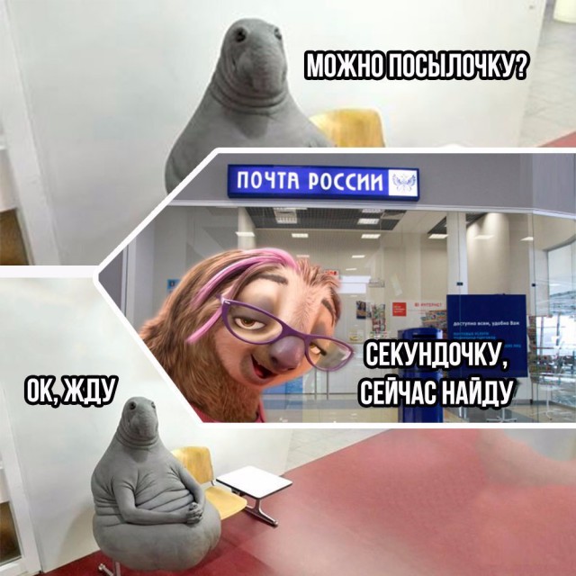Ужасы и приколы из соцсетей 18+