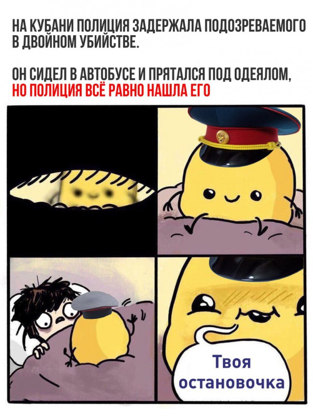 Очередная порция перлов