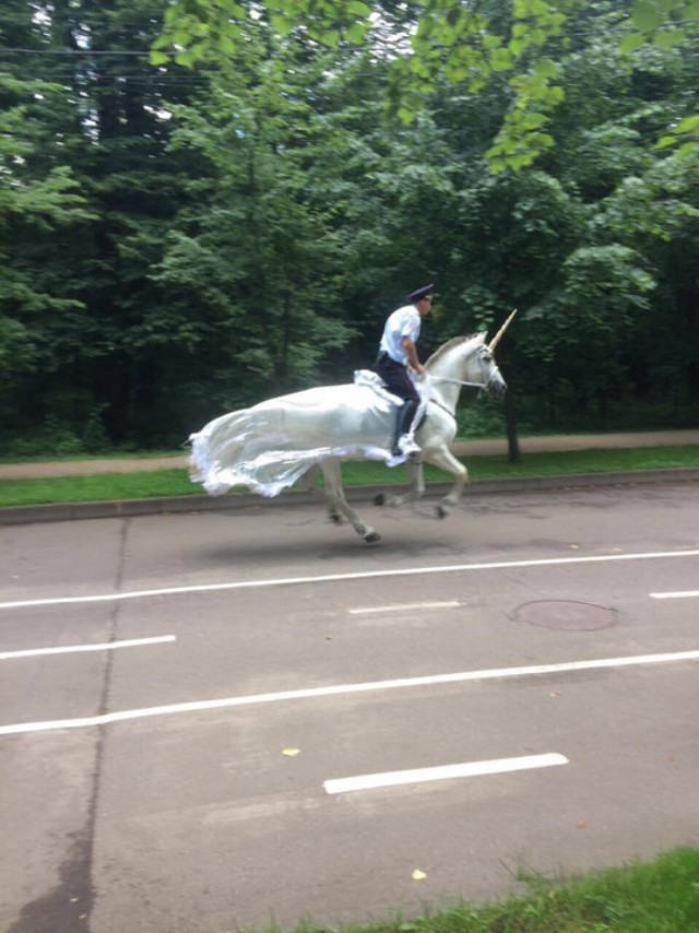 Картинки всякие для поднятия настроения