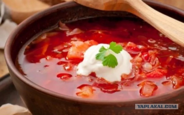 Как офисный работник открыл первую в стране улиточную ферму