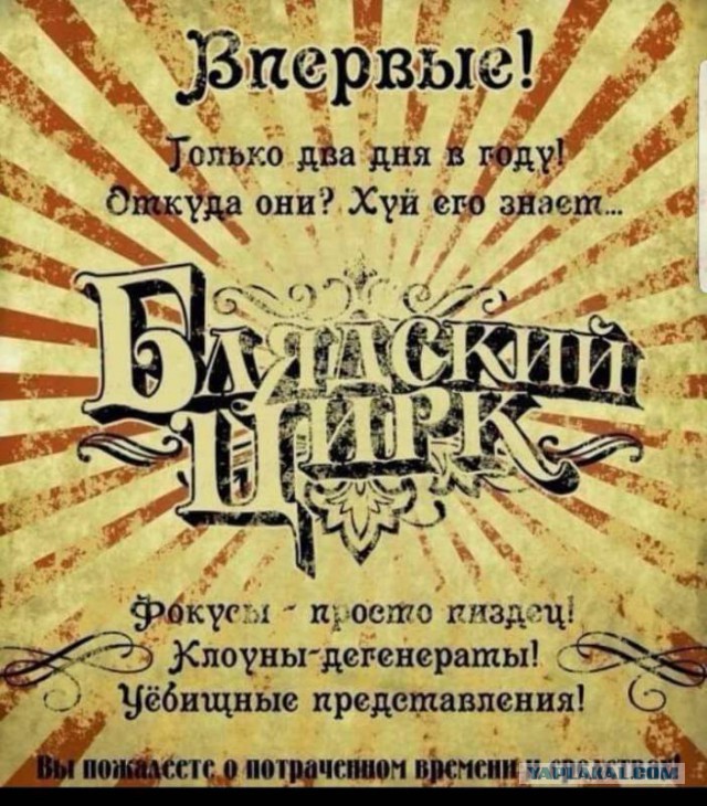 Коротко и с картинками про Иркутский Цирк