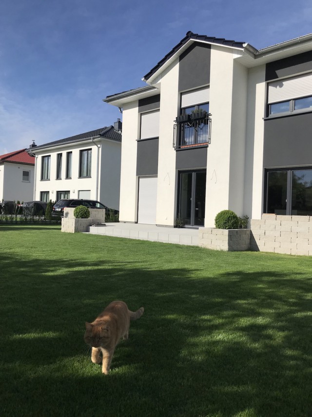 Поделитесь весной