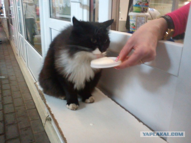 Список нужных «мужских качеств» по версии женщин