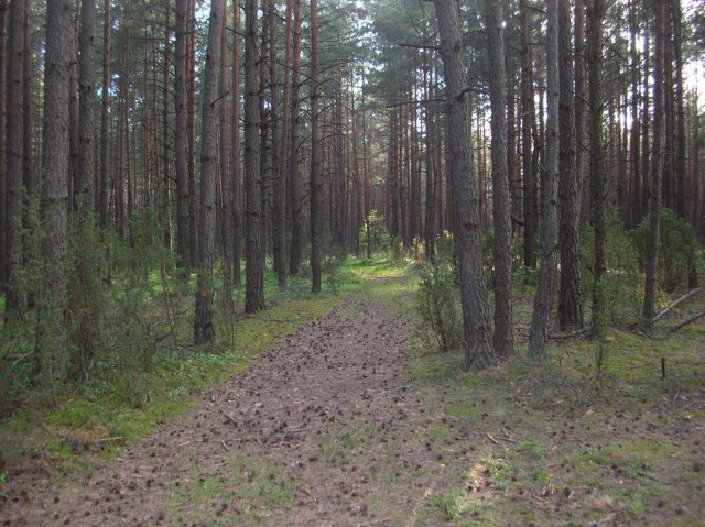Белорусские просторы