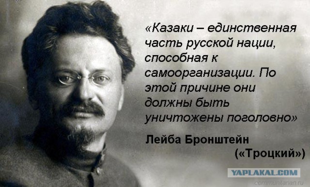 Почему в России не любили казаков