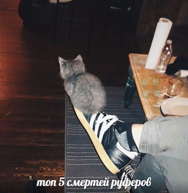 Немного картинок в эту субботу