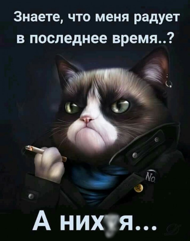Немного картинок в это воскресенье