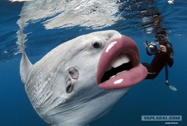 Улыбочку... снимаю!