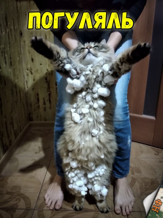 Прикольные картинки абавсём