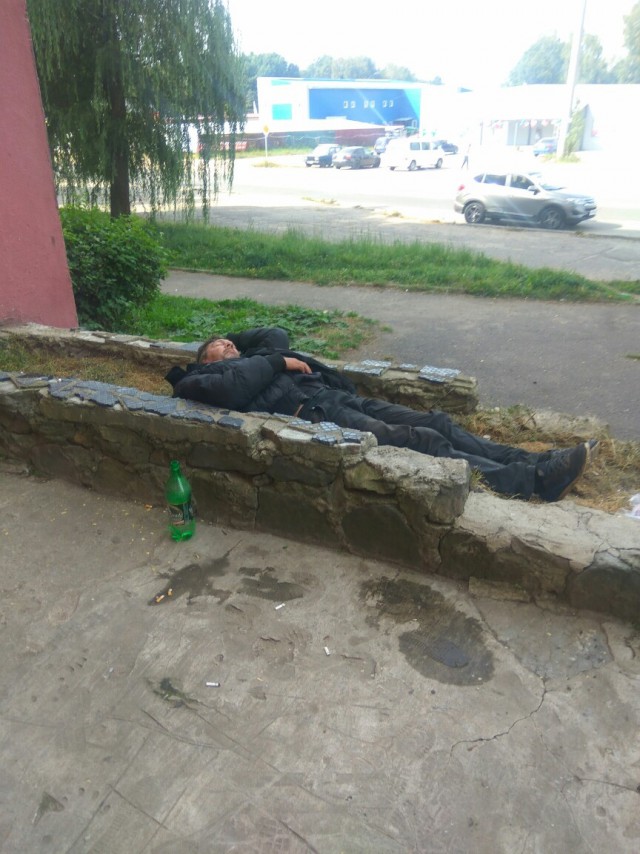 Скотсети и прочие интернеты 05.04.19