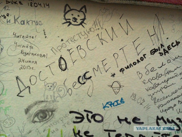 Асфальт, стены, заборы... Так пить или жить?
