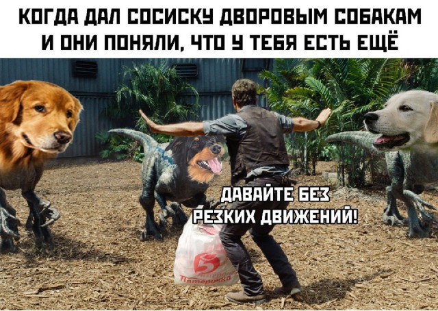 Картинок псто